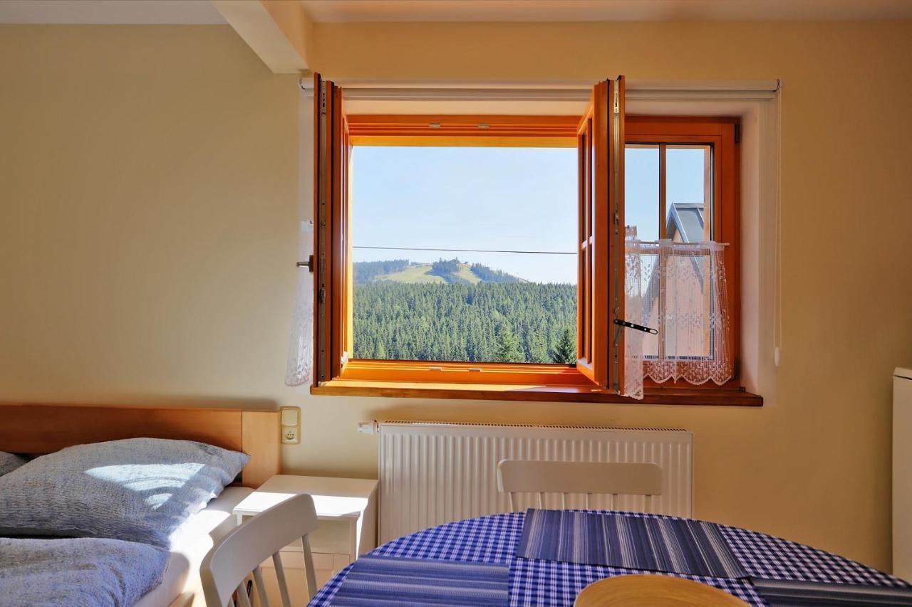 Apartments Pavel Abertamy Zewnętrze zdjęcie